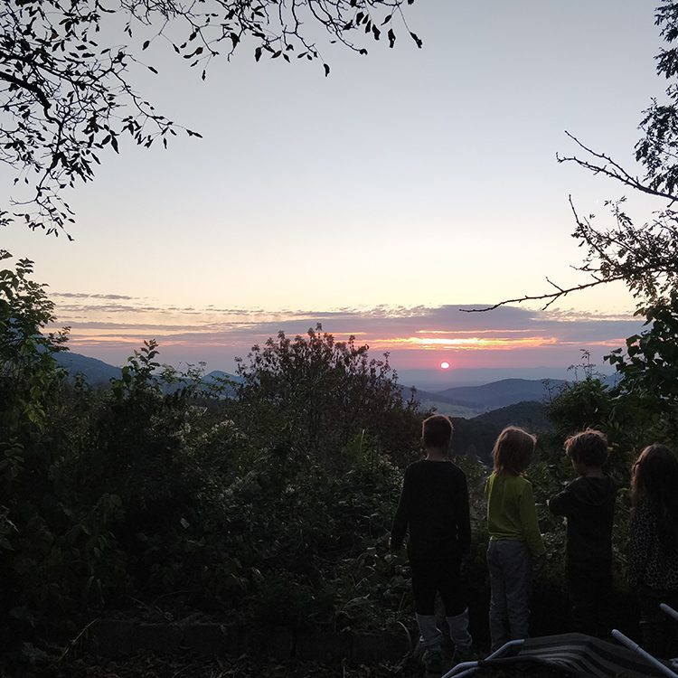 IMG_20181016_071811 IMG_20181016_071811